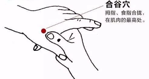 神農中醫(yī)館