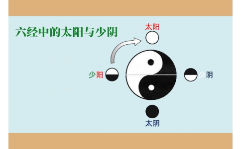 中醫(yī)基礎(chǔ)—六經(jīng)中的太陽與少陰含義！