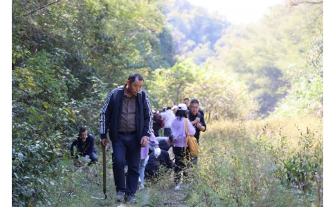踏秋尋寶，聞香識藥！首屆神農(nóng)杯野外識藥大賽在株洲鳳凰山景區(qū)成功舉辦！