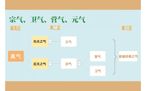 中醫(yī)里的“宗氣”、“衛(wèi)氣”、“營氣”、“元氣”